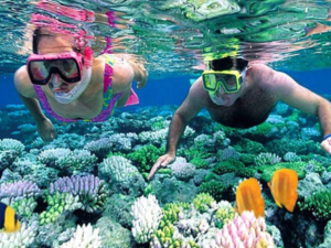 diving Gamat Bay Nusa Penida