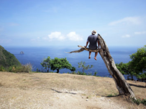 Pohon Cinta Mati Nusa Penida