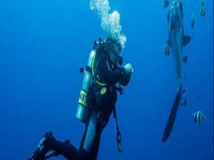 diving Snorkeling in Nusa penida