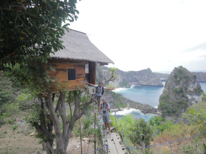 tree House 