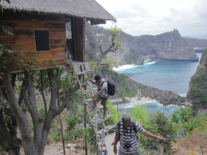 tree House 