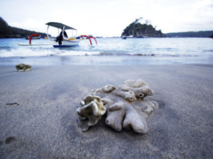destination Crystal Bay Beach Nusa Penida