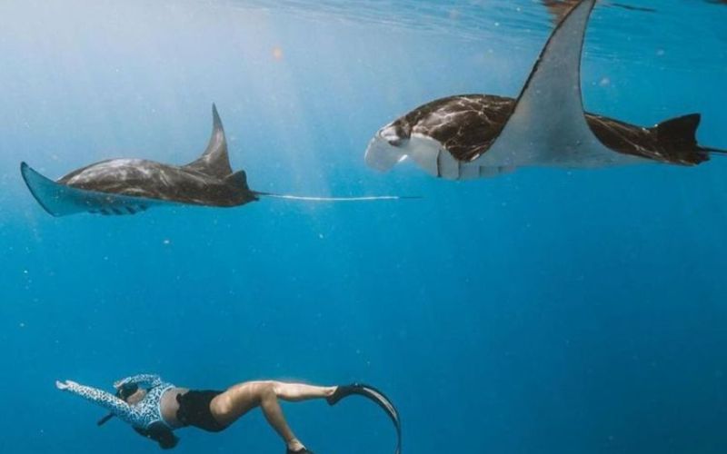 Manta Point Nusa Penida