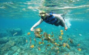  diving Wall Point, An Exciting Snorkeling site Nusa Penida