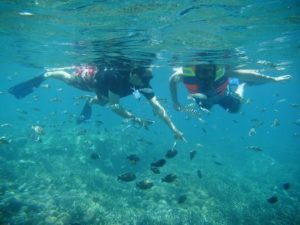diving in the coral reefs of full day activity nusa lembongan