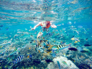 diving Package 3 Spot Snorkeling Nusa Lembongan