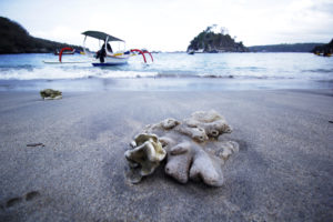 Crystal Bay@daytripnusapenida.com