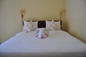 Deva Devi Beach Iin@daytripnusapenida.com