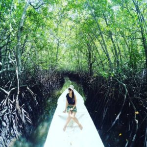 Mangrove Forest Nusa Lembonga@daytripnusapenida.com