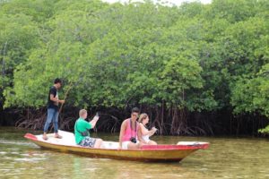 Manggrove Forest Nusa Lembongan@daytripnusapenida.com