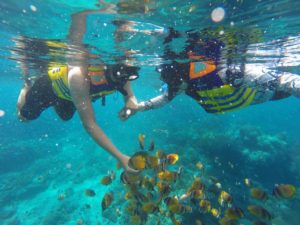 Wall Point Nusa Penida@daytripnusapenida.com