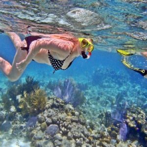 snorkelingnusapenida@daytripnusapenida.com