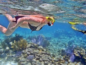 snorkeling@daytripnusapenida.com